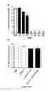 Fig. 07 - SKIN PROBIOTIC