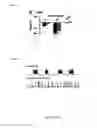 Fig. 04 - Gluconate-based compositions as a neonate anticonvulsant
