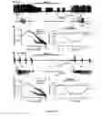 Fig. 09 - Gluconate-based compositions as a neonate anticonvulsant