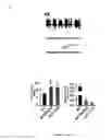 Fig. 28 - Gluconate-based compositions as a neonate anticonvulsant
