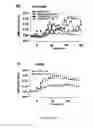 Fig. 33 - Gluconate-based compositions as a neonate anticonvulsant