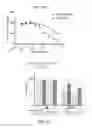 Fig. 35 - METHODS AND COMPOSITIONS FOR KILLING SENESCENT CELLS AND FOR TREATING SENESCENCE-ASSOCIATED DISEASES AND DISORDERS