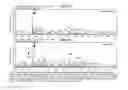 Fig. 02 - Compositions and methods for reducing intraocular pressure