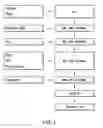 Fig. 02 - PHARMACEUTICAL COMPOSITION OF SELECTIVE HCV NS3/4A INHIBITORS