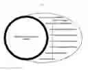 Fig. 02 - Live attenuated catfish vaccine and method of making