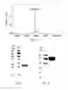 Fig. 09 - Peptide core-based multi-arm linkers for treating infectious diseases
