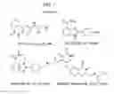 Fig. 02 - Radiolabeled tracers for poly (ADP-ribose) polymerase-1 (PARP-1), methods and uses therefor