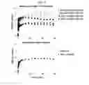 Fig. 08 - Radiolabeled tracers for poly (ADP-ribose) polymerase-1 (PARP-1), methods and uses therefor