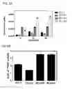 Fig. 09 - Radiolabeled tracers for poly (ADP-ribose) polymerase-1 (PARP-1), methods and uses therefor