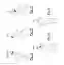 Fig. 02 - IMU system for assessing head and torso orientation during physical motion