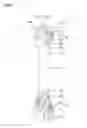 Fig. 02 - Burring method and burring apparatus