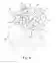 Fig. 07 - Numbering device for typographic numbering