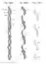 Fig. 08 - Security elements and methods of their manufacture