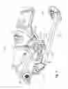 Fig. 08 - Two-wheeled vehicle