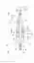 Fig. 08 - Steering apparatus for automobile
