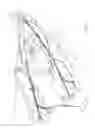 Fig. 02 - Adjustable and cinchable floating bulkhead system for a kayak