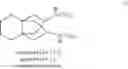 Fig. 02 - Molecular sieve SSZ-27