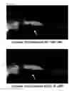 Fig. 04 - Compound or pharmaceutically acceptable salt thereof, and pharmaceutical composition containing same as active ingredient