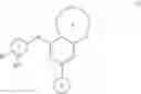 Fig. 06 - Substituted benzooxadiazole DNA-PK inhibitors