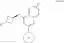 Fig. 11 - Substituted benzooxadiazole DNA-PK inhibitors