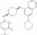 Fig. 311 - Substituted benzooxadiazole DNA-PK inhibitors