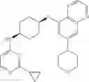 Fig. 312 - Substituted benzooxadiazole DNA-PK inhibitors