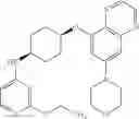 Fig. 324 - Substituted benzooxadiazole DNA-PK inhibitors