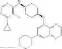 Fig. 501 - Substituted benzooxadiazole DNA-PK inhibitors