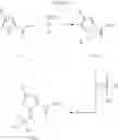 Fig. 22 - Kinase inhibitors