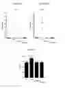 Fig. 05 - Orally available compounds, a process for preparing the same and their uses as anti-adhesive drugs for treating induced inflammatory bowel diseases such as crohn's disease