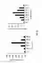 Fig. 33 - CULTURE MEDIUM FOR STEM CELL DIFFERENTIATION