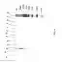 Fig. 05 - Method and apparatus for isolating nucleic acids