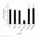 Fig. 08 - Digestibility of plant biomass