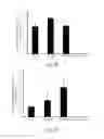 Fig. 09 - Digestibility of plant biomass