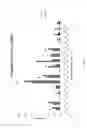 Fig. 28 - miR-211 expression and related pathways in human melanoma