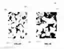Fig. 02 - Antimicrobial and wicking materials and methods of making the same