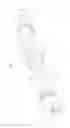 Fig. 02 - LED lamp