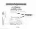Fig. 04 - System and method of obtaining spatially-encoded NMR parameters from arbitrarily-shaped compartments and linear algebraic modeling
