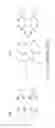 Fig. 03 - Resist pattern hardening material and method of fabricating the same