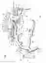 Fig. 02 - Safety mechanism for selection and/or actuation of a timepiece striking work