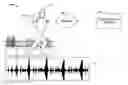 Fig. 01 - Heart rate control based upon media content selection