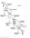 Fig. 01 - SYSTEMS AND METHODS FOR ENHANCED MERCHANT DATA USING SATELLITE IMAGING