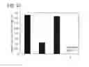 Fig. 22 - MANUFACTURING METHOD OF SEMICONDUCTOR DEVICE
