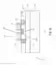 Fig. 14 - Extended drain metal-oxide-semiconductor transistor