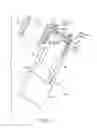 Fig. 05 - WOUND ELECTRODE GROUP AND NONAQUEOUS ELECTROLYTE BATTERY