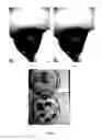Fig. 02 - Artificial feeding method at low altitude for host insect ghost moth of ophiocordyceps sinensis