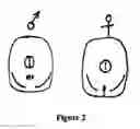Fig. 03 - Artificial feeding method at low altitude for host insect ghost moth of ophiocordyceps sinensis