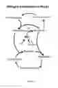 Fig. 02 - Compounds and methods for improving plant performance