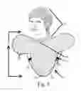 Fig. 06 - Protective temperature helmet and shoulder pads, protective temperature helmet and shoulder pad liner