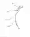 Fig. 01 - Asymmetrically releasable fastener system and cuff for use therewith